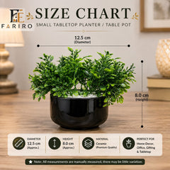Premium Artificial Tabletop Plant with Ceramic Pot | Decorative Greenery for Home & Office