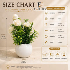 Premium Small Ceramic Tabletop Pot | Glossy White Decorative Planter | Modern Home & Office Décor