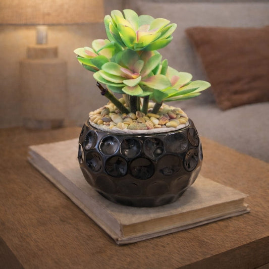 Artificial Succulent Plant with Decorative Black Pot