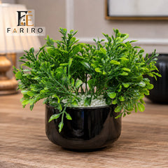 Premium Artificial Tabletop Plant with Ceramic Pot | Decorative Greenery for Home & Office